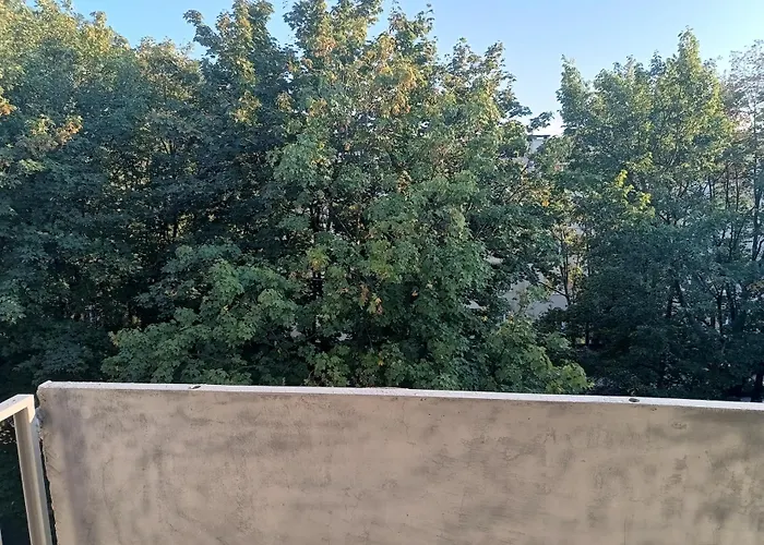 Citylink - Free Public Parking *